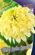 ЭХИНАЦЕЯ УАЙТ ДАБЛ ДЕЛАЙТ WHITE DOUBLE DELIGHT
